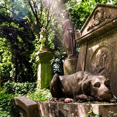Highgate Cemetery including Fish and Chips