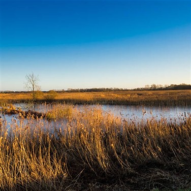 Wetland to Fenland Vintage Tour